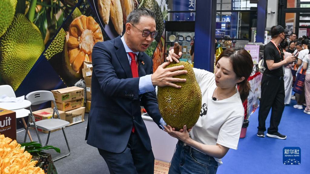 金典娱乐app